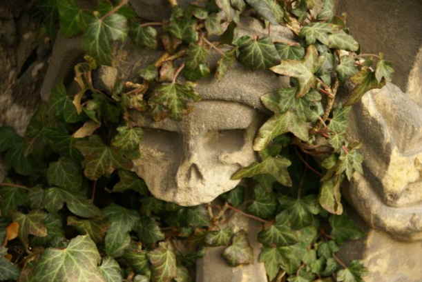 Detail